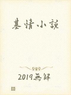 基情小说