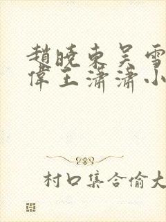 赵晓东吴雪晴郑伟王潇潇小说名字