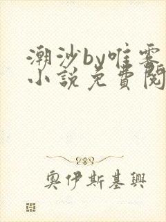 潮沙by唯雾的小说免费阅读笔趣阁封面