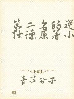 第二名的逆袭高仕德原著小说封面