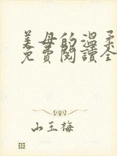 美母的温柔小说免费阅读全文笔趣阁封面