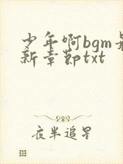 少年啊bgm最新章节txt