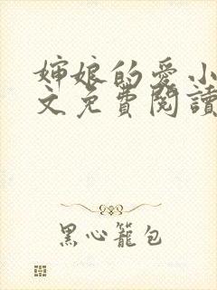 婶娘的爱小说全文免费阅读