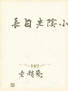 长日光阴小说封面