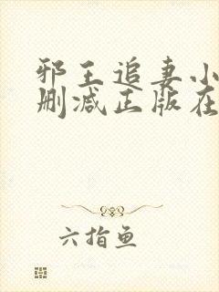 邪王追妻小说无删减正版在线阅读封面