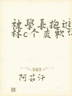 被学长抱进小树林c个爽软件