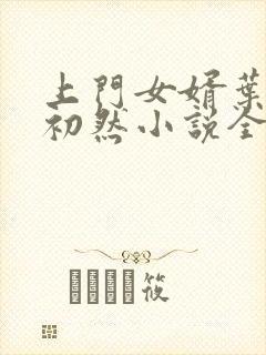 上门女婿叶辰萧初然小说全集