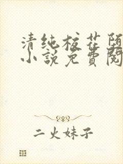 清纯校花堕落记小说免费阅读封面