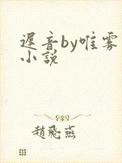 迟音by唯雾的小说