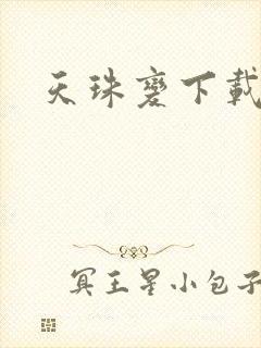 天珠变下载封面