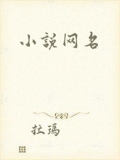 小说网名