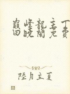 巅峰龙主丁长顺田晓兰免费阅读