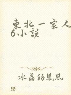 东北一家人1一6小说封面