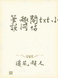 笔趣阁txt小说网站