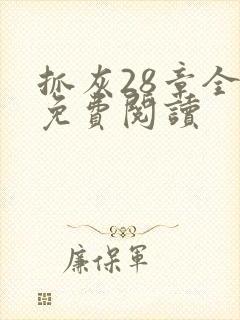 抓灰28章全部免费阅读