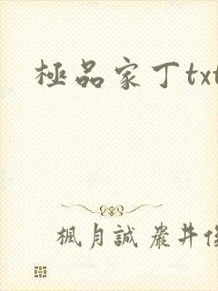 极品家丁txt