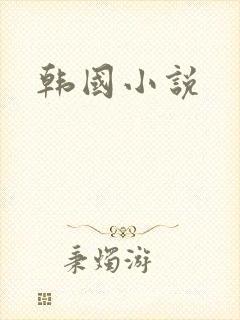 韩国小说封面