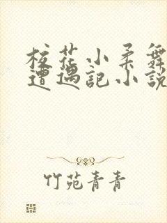 校花小柔舞蹈室遭遇记小说