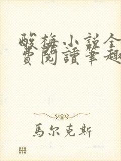 酸梅小说全文免费阅读笔趣阁