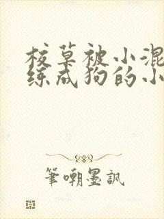 校草被小混混训练成狗的小说