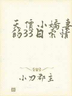 天价小娇妻总裁的33日索情封面