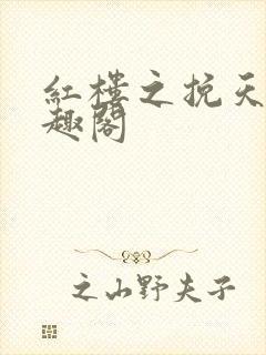 红楼之挽天倾笔趣阁封面