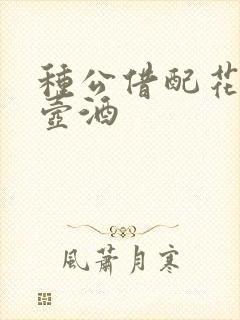 种公借配花间一壶酒