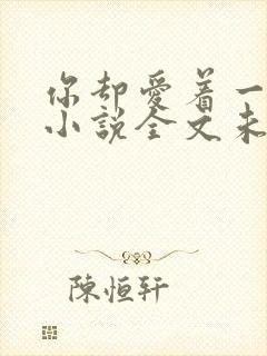 你却爱着一个他小说全文未删减免费封面