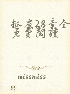 抓灰28章全部免费阅读