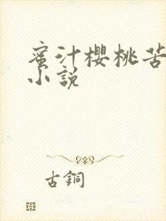 蜜汁樱桃苦咖啡小说封面