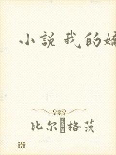 小说 我的娇妻