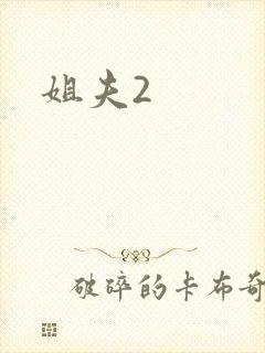 姐夫2