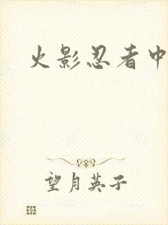 火影忍者中文网封面