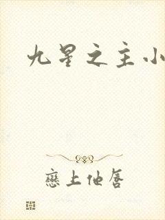 九星之主小说