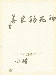 善良的死神txt封面