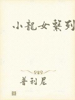 小龙女系列小说封面
