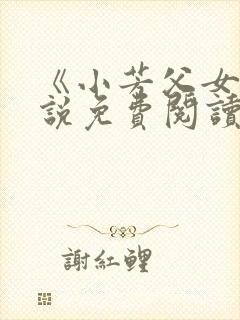 《小芳父女》小说免费阅读封面