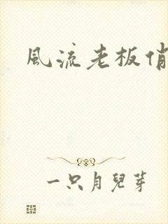 风流老板俏秘书封面