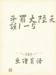 斗罗大陆天狂传说1一5