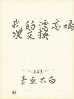 我的漂亮娇妻初次交换