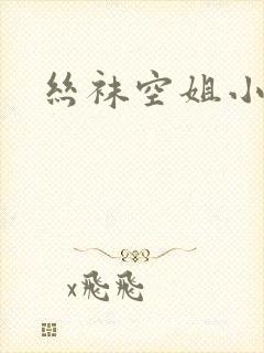 丝袜空姐小说封面