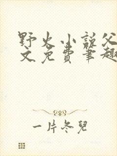 野火小说父女全文免费笔趣阁封面