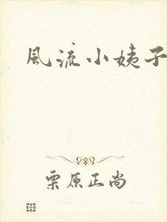 风流小姨子封面
