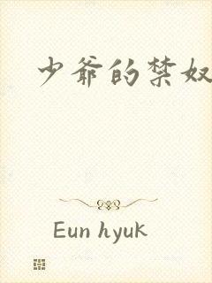 少爷的禁奴封面