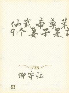 仙武帝尊叶辰19个妻子是谁