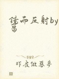 镜面反射by九葛