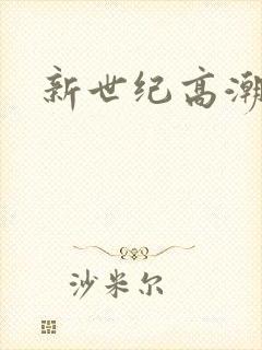 新世纪高潮战队封面