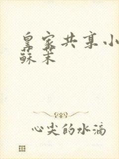 皇家共享小公主苏茉