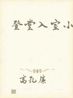 登堂入室小说