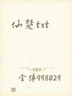 仙楚txt封面